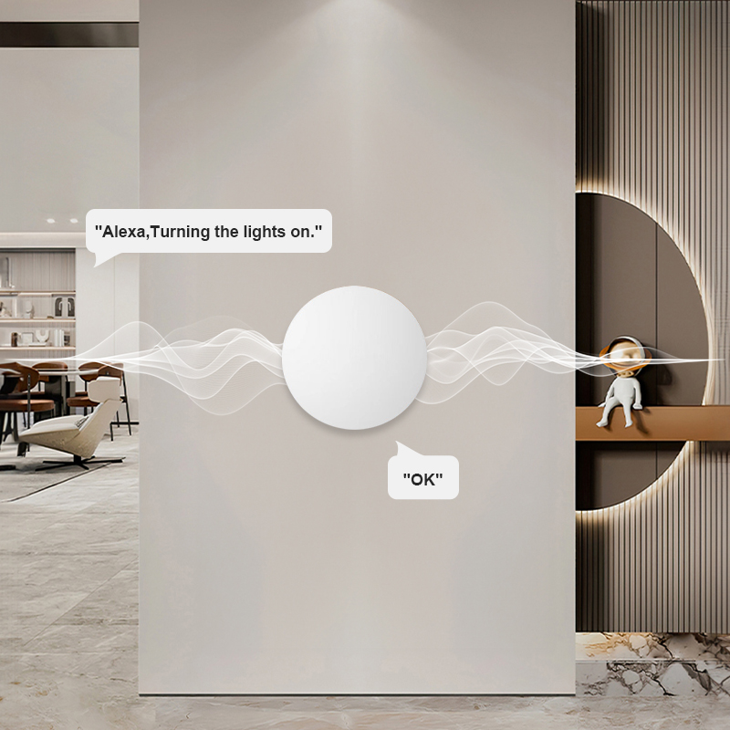 ZigBee Smart Wireless Button S - Diy Electronics Button ulasan dan harga